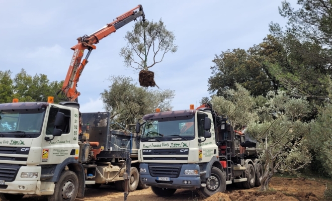 Travaux de déblaiement, Saint-Saturnin-lès-Apt, Poncet Travaux Verts